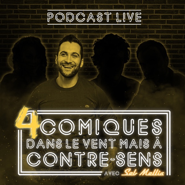 4 comiques dans le vent, mais à contresens : le podcast de Seb Mellia