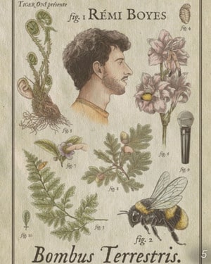 Affiche du spectacle de Rémi Boyes : Bombus Terrestris (classé 5e)