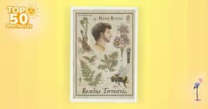 Affiche du spectacle de Rémi Boyes, Bombus Terrestris, au Point Virgule Affiche du spectacle de Rémi Boyes, Bombus Terrestris, au Point Virgule