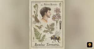 Affiche du spectacle de Rémi Boyes, Bombus Terrestris, au Point Virgule Affiche du spectacle de Rémi Boyes, Bombus Terrestris, au Point Virgule